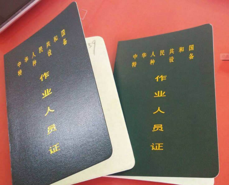 ȫеΥָʲô