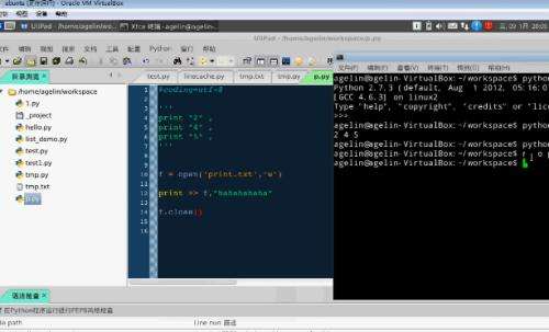 Python˹
