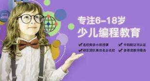 人ɽ人޹˾СѧѵѧУ